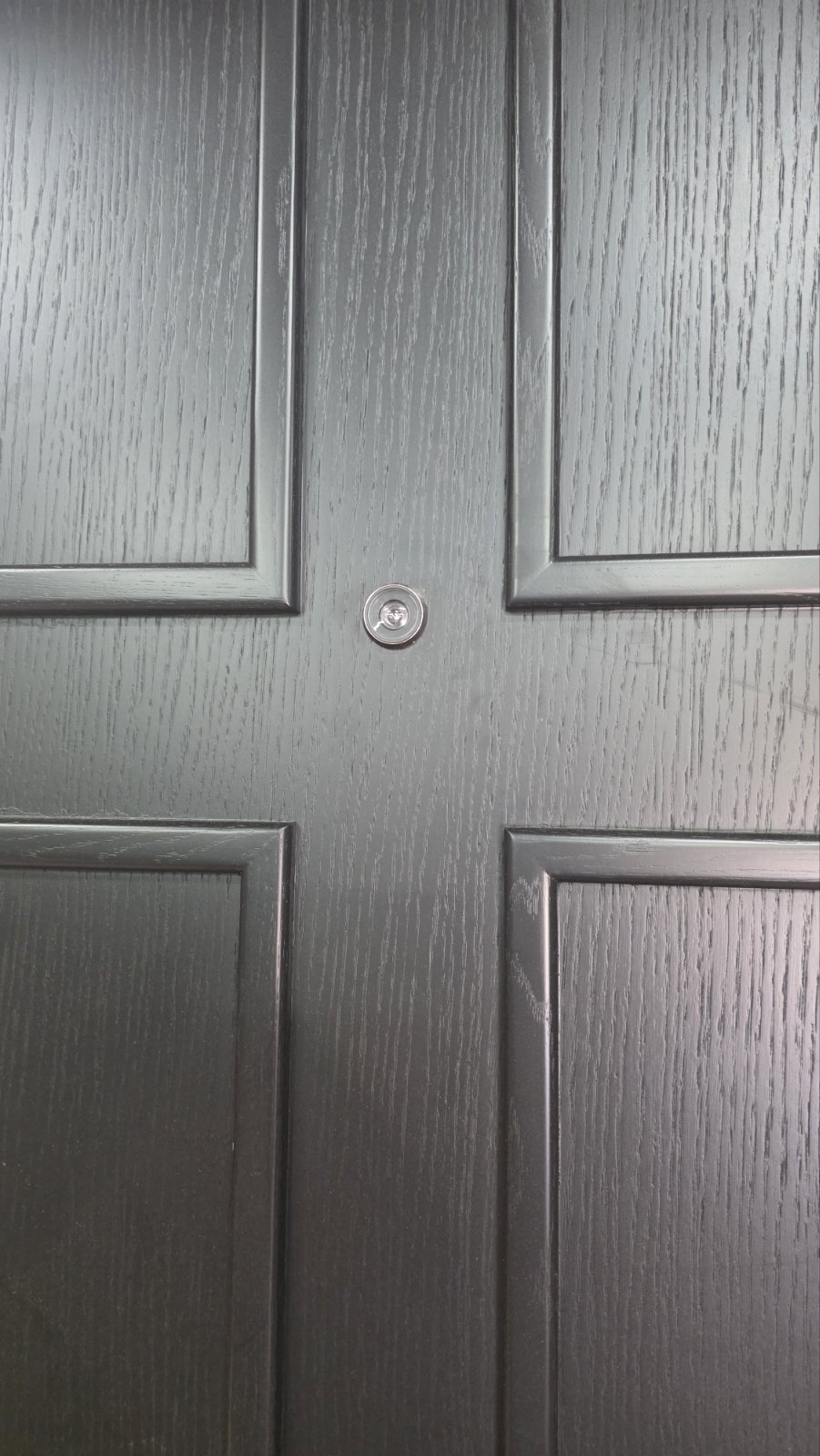 Detalj teksture krila i špijunke